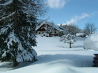 The winter is in Austria
