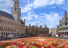 Цветочная площадь в Брюсселе