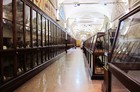 Археологический музей и Музей Средневековья