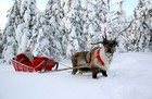 Новогодние каникулы в Финляндии