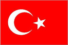 Государственное устройство Турции