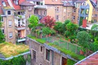 Озеленение крыш в Берлине