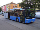 Общественный транспорт Мюнхена - Автобус