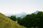Горы и леса Австрии