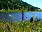 Мильштатское озеро: секреты популярности, туры в Австрию