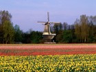 Нидерланды - основные достопримечательности